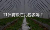 T1体育投注礼包多吗？最新礼包数量、类型与领取攻略