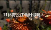 T1体育投注会封号吗？封号原因、预防与解封全攻略