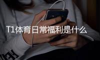 T1体育日常福利是什么意思？新手领取攻略与实用技巧