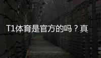 T1体育是官方的吗？真伪辨别、资质查询与使用安全全解析