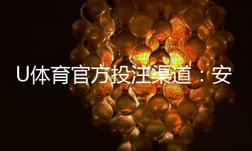 U体育官方投注渠道：安全便捷的体育赛事投注平台推荐