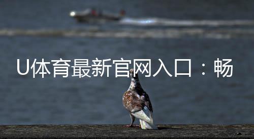 U体育最新官网入口:畅享顶级赛事投注与电子游艺盛宴