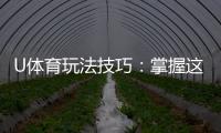 U体育玩法技巧：掌握这些策略让你稳赢不赔