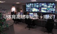 U体育高赔率玩法：揭秘高回报投注技巧与实战策略