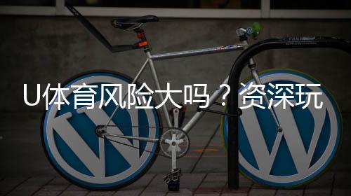 U体育风险大吗?资深玩家解析平台安全性与投注技巧