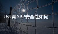 U体育APP安全性如何？资深玩家实测解析平台安全机制