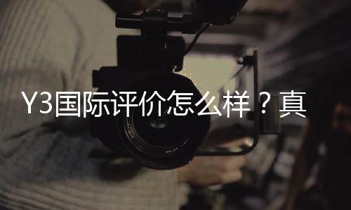Y3国际评价怎么样?真实口碑、优缺点与是否值得信赖全面解析