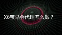 X6宝马会代理怎么做？详细申请流程与收益解析
