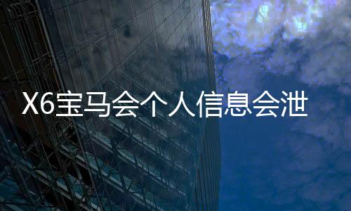 X6宝马会个人信息会泄漏吗？深度解析平台安全机制与防护措施