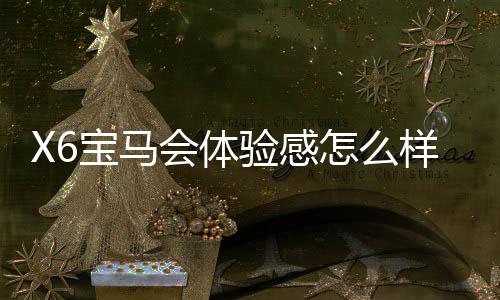 X6宝马会体验感怎么样?资深玩家分享真实游戏感受与技巧
