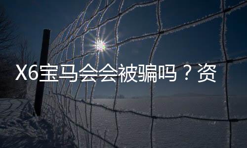 X6宝马会会被骗吗？资深玩家揭秘平台安全性与防骗技巧