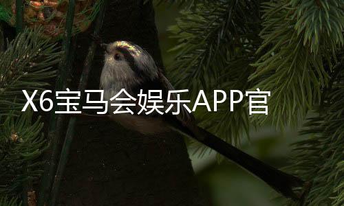 X6宝马会娱乐APP官方下载通道:畅享豪华电游体验与独家优惠