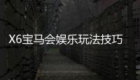 X6宝马会娱乐玩法技巧：高手必备的实战秘籍与策略解析
