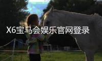 X6宝马会娱乐官网登录网址：畅享豪华电游盛宴与真人棋牌乐趣