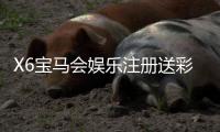 X6宝马会娱乐注册送彩金：新会员首存即赠8888彩金礼遇