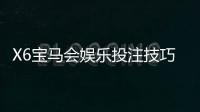 X6宝马会娱乐投注技巧：掌握这5招让你稳赢不赔
