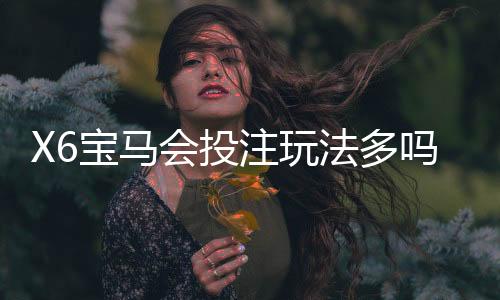 X6宝马会投注玩法多吗？资深玩家揭秘特色游戏与实战技巧