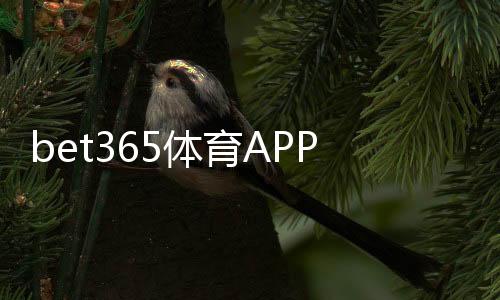 bet365体育APP安全性如何？隐私保护、支付与合规全面解析