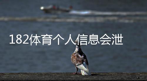 182体育个人信息会泄漏吗?安全性评估、风险真相与防护攻略