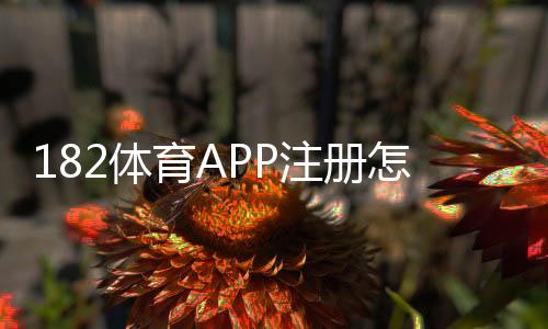 182体育APP注册怎么操作?新手快速开户步骤与常见问题详解