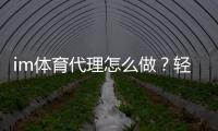 im体育代理怎么做？轻松入门与高效盈利指南