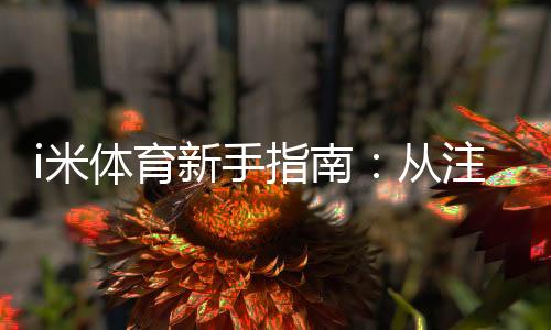 i米体育新手指南:从注册到投注的完整流程与实用攻略